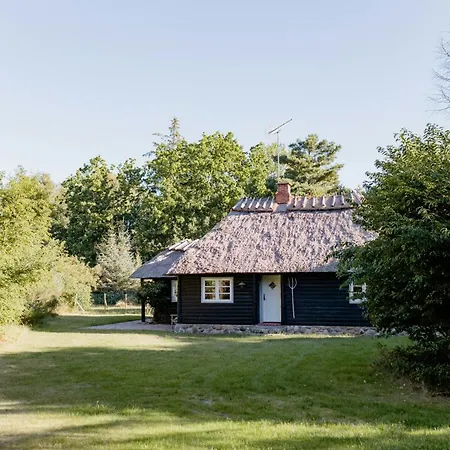 Thatched Summer Perfect For Two Families