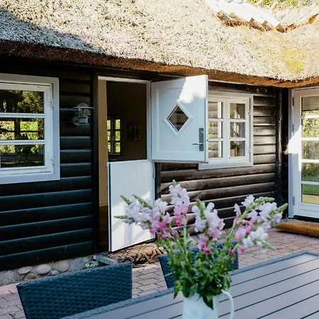 Thatched Summer Perfect For Two Families Gilleleje