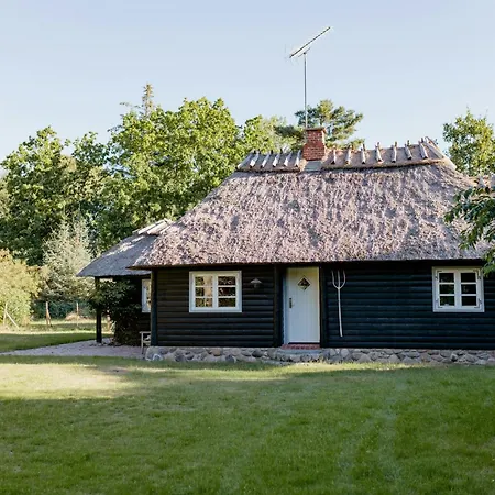 Thatched Summer Perfect For Two Families Gilleleje