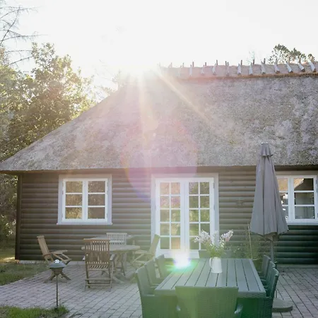 Thatched Summer Perfect For Two Families Gilleleje