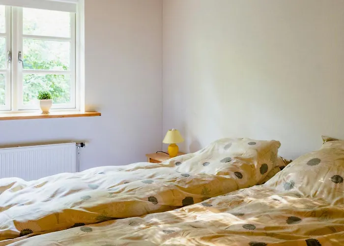 Tatil Evi Thatched Summer Perfect For Two Families Gilleleje