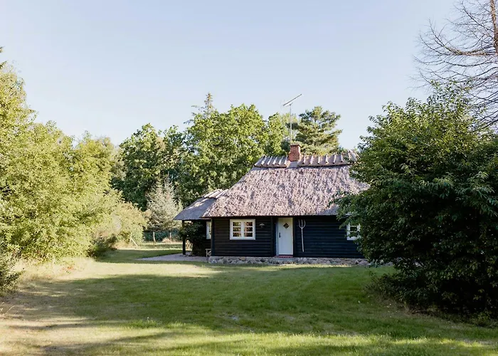 Thatched Summer Perfect For Two Families