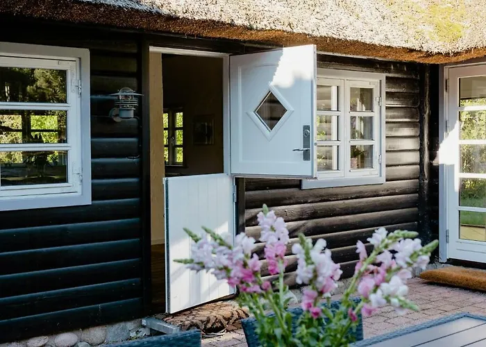 Thatched Summer Perfect For Two Families Gilleleje