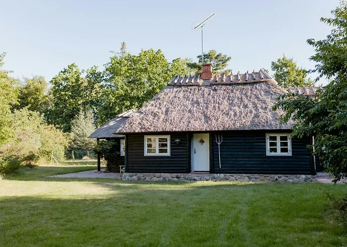 Thatched Summer Perfect For Two Families Gilleleje