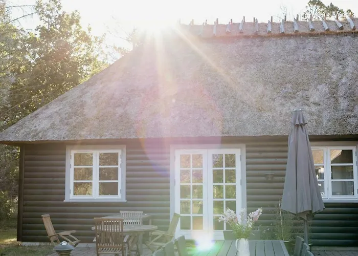 Thatched Summer Perfect For Two Families Gilleleje